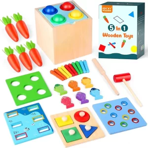 5-in-1 Wooden Play Kit