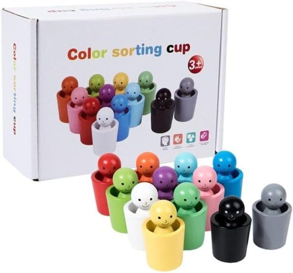 Wooden Color Sorting Cup